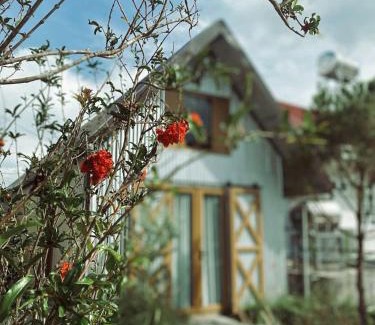 Phuong House | Homestay - Nhà Cỏ Lâu Đà Lạt
