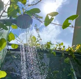 Buon Ma Thuot Apartment | Homestay Xóm Rau