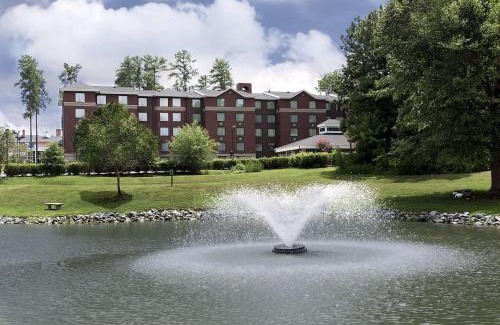 Williamsburg Hotel | Homewood Suites Williamsburg