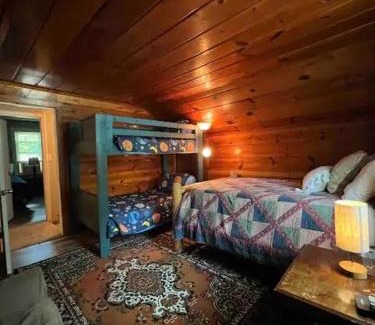 Roscommon County House | Homey Houghton Haven
