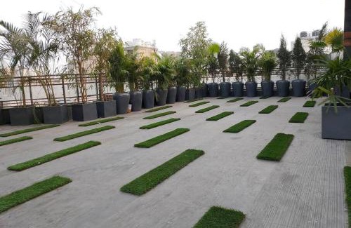 Delhi Apartment | Homlee-Vintage Green 2BHK with Terrace & fort View