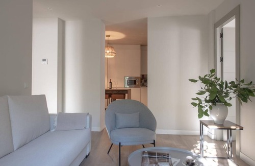 San Vicente Apartment | HommyHome Duque de Veragua 101