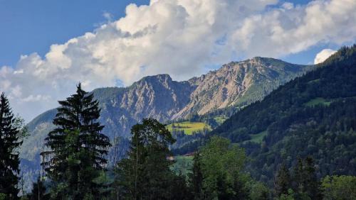 Vandans Apartment | homy MontaVista - 300m zur Golmerbahn