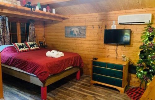 Hayward House | Honeybear Hideaway Cabin