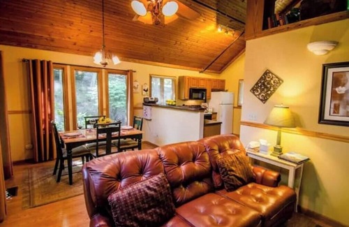 Skyland Cabin | Honeymoon cabin for 2 w/hottub 6mi to DT Asheville