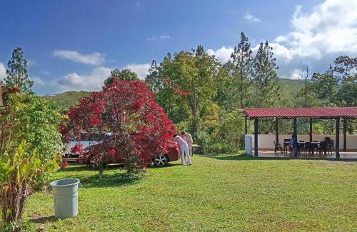 Curiti Apartment | HOSPEDAJE CAMPESTRE VILLA PARAISO