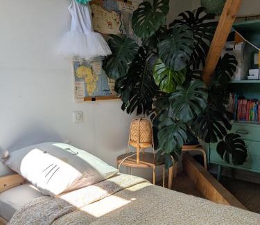 Les Estagnots Apartment | HOSSEGOR, T3 avec jardin entre Lac et Océan