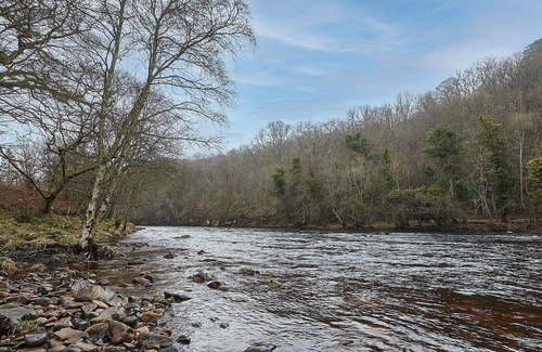 Barnard Castle House | Host & Stay | Wodencroft Cottage