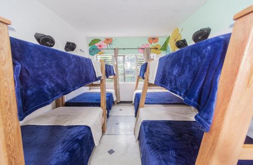 Estadio House | Hostal Bendito, central y cómodo