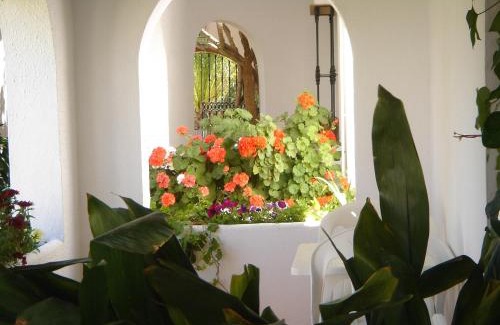 Zahora House | Hostal El Capi