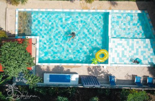 Palomino House | Hostal Luz de Luna