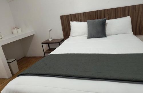 Reforma House | Hostal Schultz