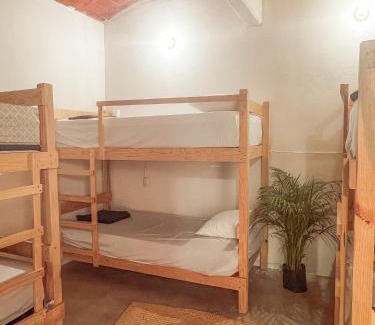 Ruta Independencia Hotel | Hostel Casa Maguey