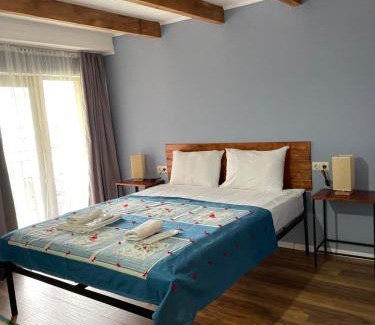 Bagvdanari Hotel | Hotel Ailama Mestia