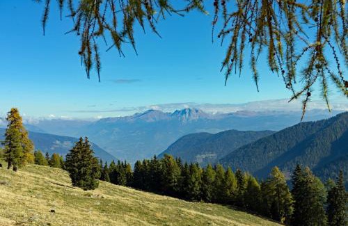 Santa Valburga Hotel | Hotel Alpenhof