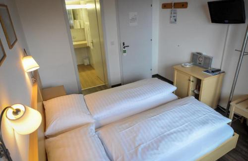 Murren Hotel | Hotel Alpenruh
