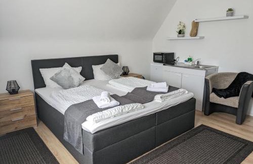 Kaiserslautern Hotel | Hotel Ari