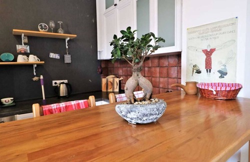 Vera House | Hotel at Shatberishvili Number 9