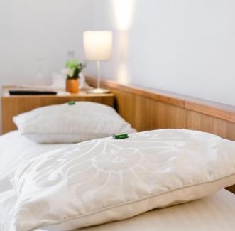 Schongau Hotel | Hotel Blaue Traube