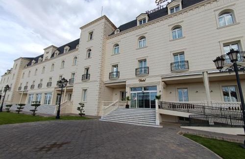 Albacete Hotel | Hotel Bossh Alicia