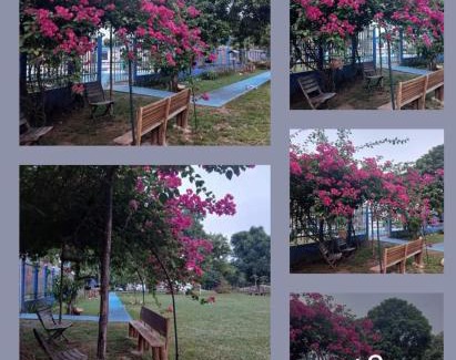 Villavicencio Hotel | Hotel campestre la Maria