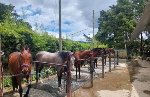 Rionegro Hotel | Hotel Campestre Ronda Ecuestre Rionegro