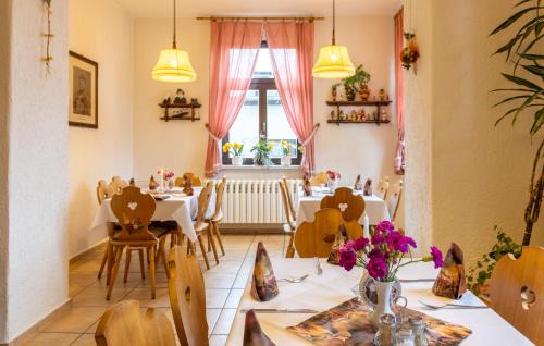 Olbernhau Hotel | Hotel Carola