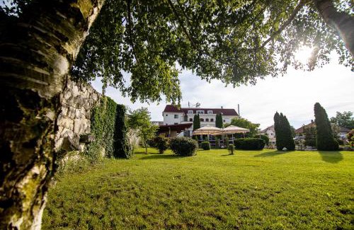 Sebes Hotel | Hotel Clasic