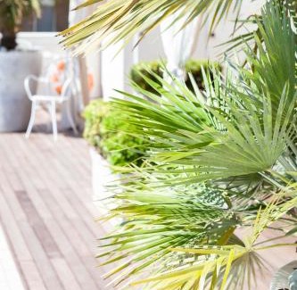 Cervia Hotel | Hotel Conchiglia