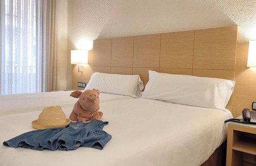 Logrono City Centre Hotel | Hotel Condes de Haro