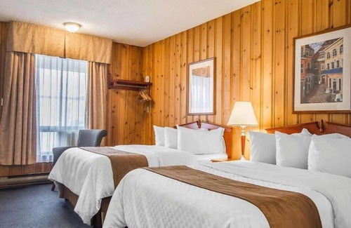 Forestville Hotel | Hotel Danube Bleu