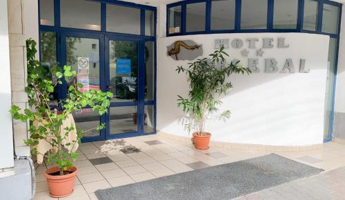Bistrita Hotel | Hotel Decebal Bistrita