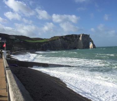 Etretat Hotel | Hotel Des Falaises