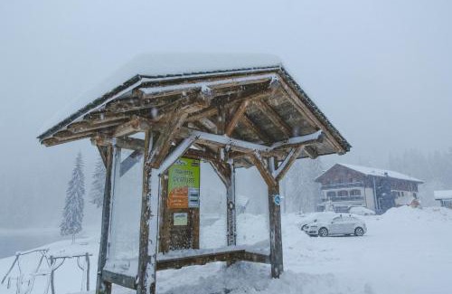 Montriond Hotel | Hotel Du Lac