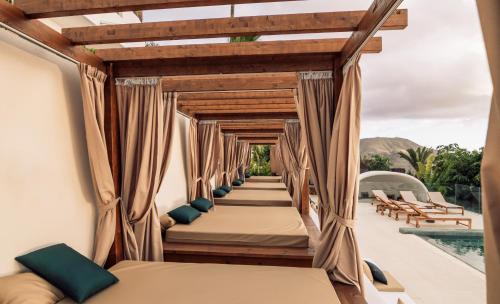 Chayofa Hotel | Hotel Estefania Boutique Suites