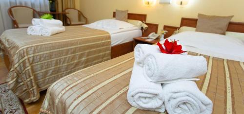Miercurea-Ciuc Hotel | Hotel Fenyõ