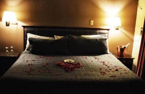 Irapuato Hotel | Hotel Flamingo Kristal