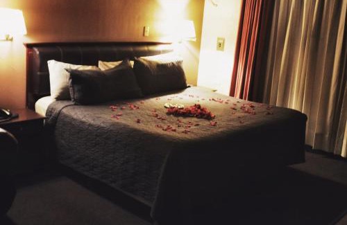 Irapuato Hotel | Hotel Flamingo Kristal