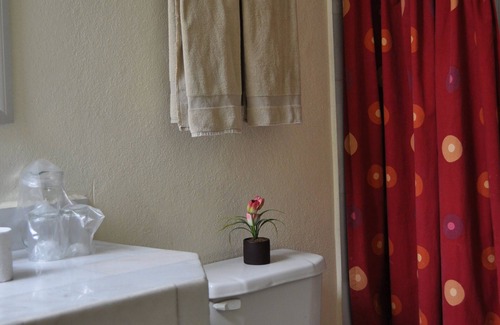 Irapuato Hotel | Hotel Flamingo Kristal