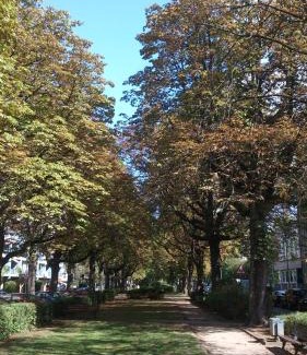Gallus Hotel | Hotel Franken an der Messe