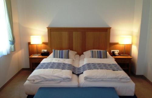 Mainz-Bingen Hotel | Hotel Frankenbach