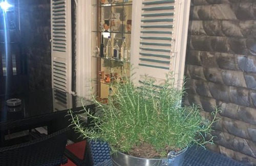 Hachenburg Hotel | Hotel Friedrich