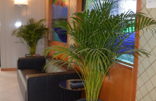 Laigueglia Hotel | Hotel Gilda