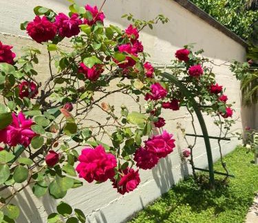 Poggiomarino Hotel | Hotel Ginevra