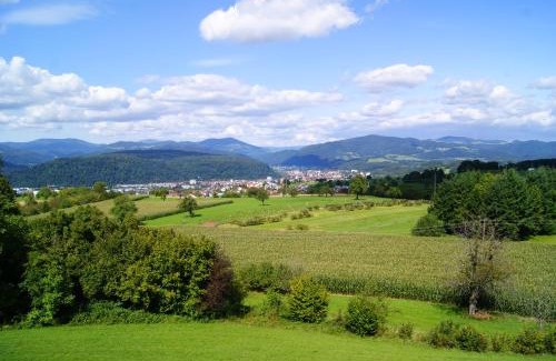 Schopfheim Hotel | Hotel Hohe Flum