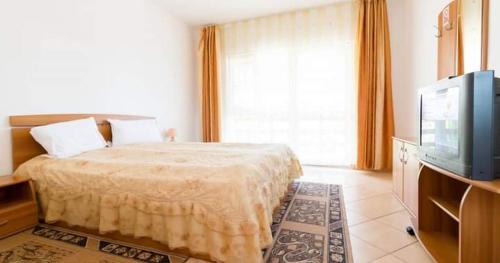 Vama Veche Hotel | HOTEL ILA