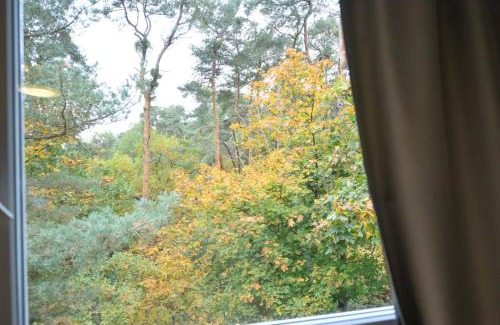 Sudstadt Hotel | Hotel im Natur mit Eigene Küche und Bad