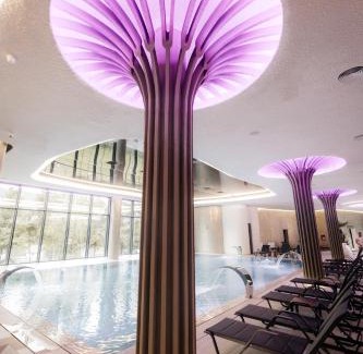 Moisei Hotel | Hotel Ivascu