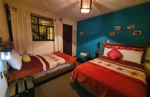 Zona Centro Hotel | Hotel Liquidambar