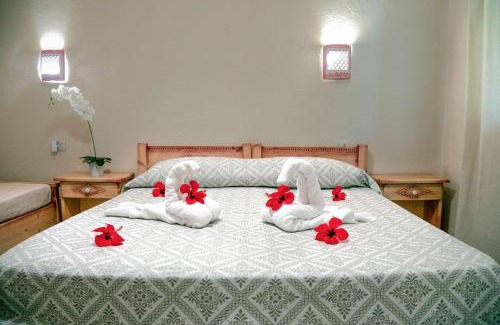 Villasimius Hotel | Hotel L'Oleandro